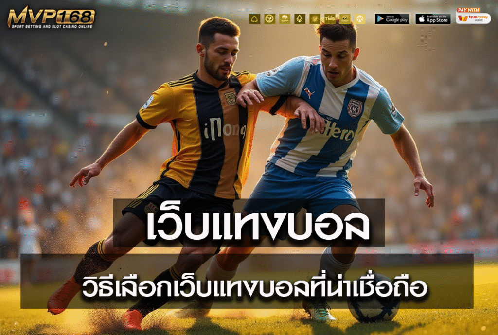 เว็บแทงบอล